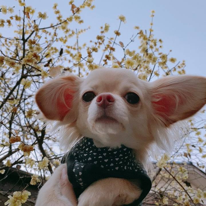 Fc15ba8d ebff 47fe 96e1 7c6fd2060191 1611739618306