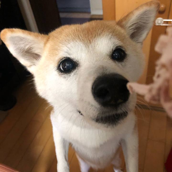 Fc15cd04 dbf8 4847 a54e 4b24729304c7 1695214231321