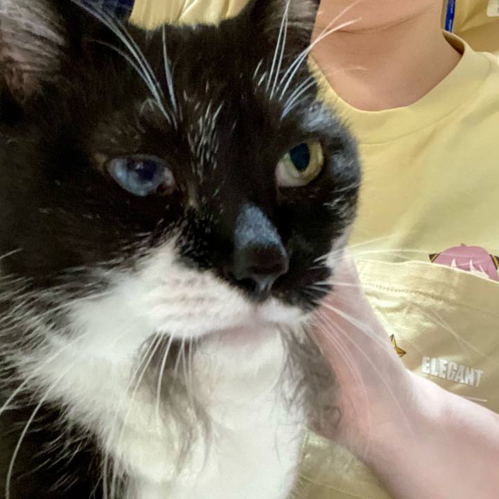 Fc15dd6b 6828 458a 9bc8 4b5023526cb0 1689086530006