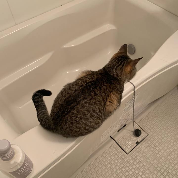 Fc160e35 d754 400f b2f8 5ae955860f3e 1555113305726