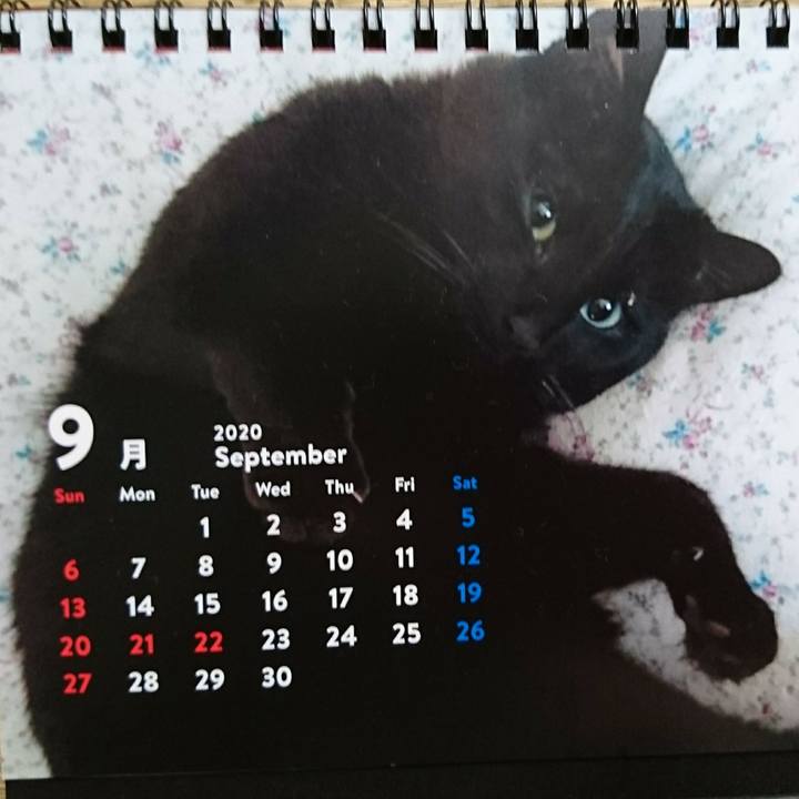 Fc161f1b 986d 41ce a187 b4b8bc97e279 1600395145661