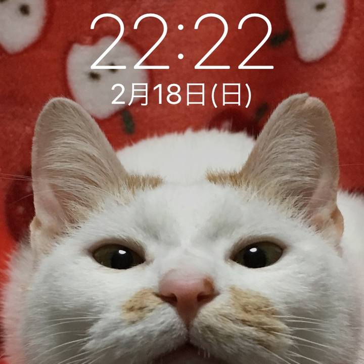 Fc161f1d a2dc 450f 9dbd 92b66b5324e7 1519743201514