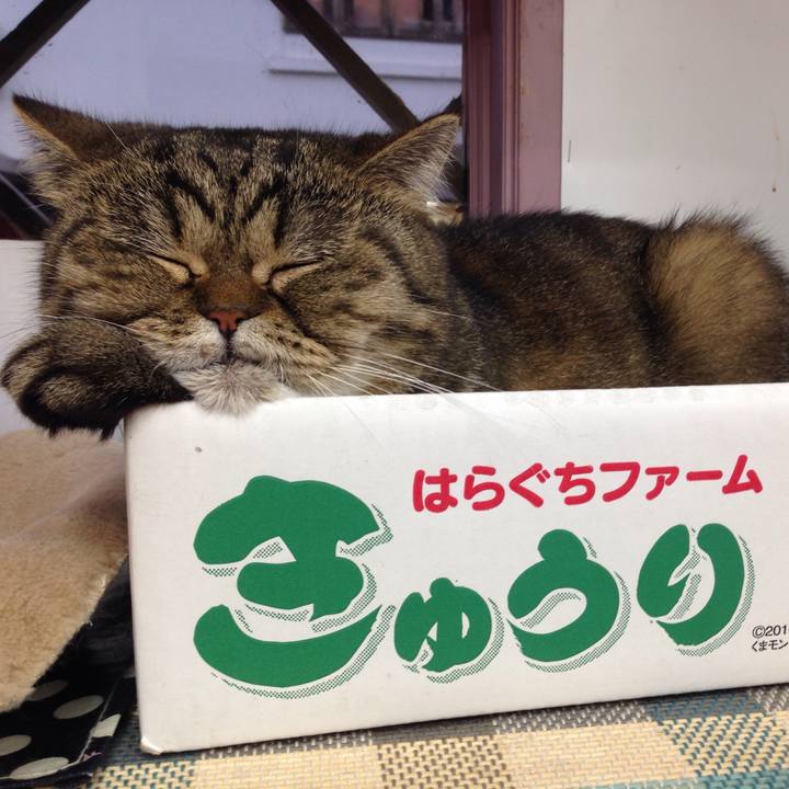 Fc162094 93c4 437b b1ef 4fd2220553f4 1508629970055