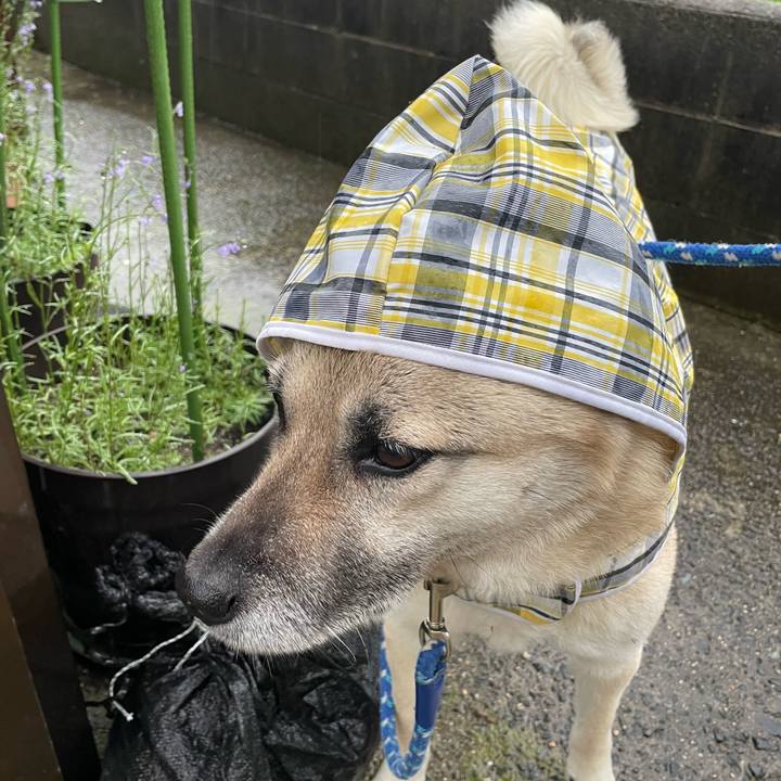 Fc165e2a 7468 4c0d 9e38 c77a9687e840 1682423781715