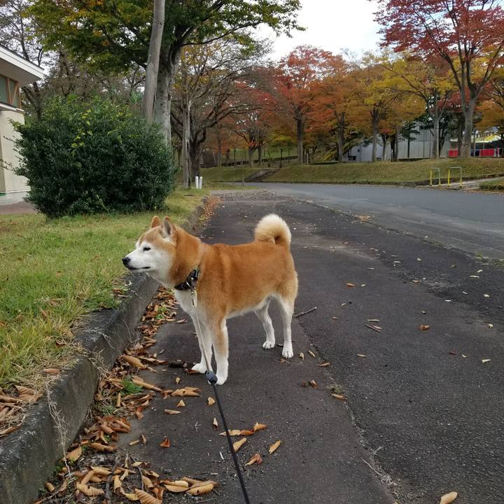 Fc167f05 a0f6 4ca2 a7ef 7fbc092beff6 1666852719824