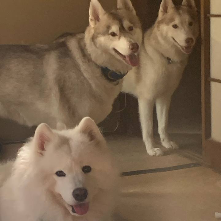 Fc169f78 8961 4f6b a4cd ddc6c36ea4d5 1600691829671