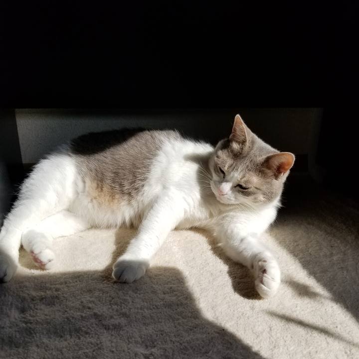 Fc16f756 b3a2 4a55 ae1d 9ffab7f170a3 1615694620754