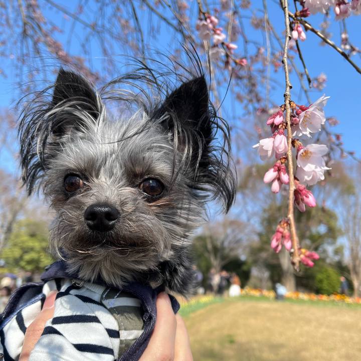 Fc171a4e a401 46a7 9166 d88882a8e9b9 1774083662688