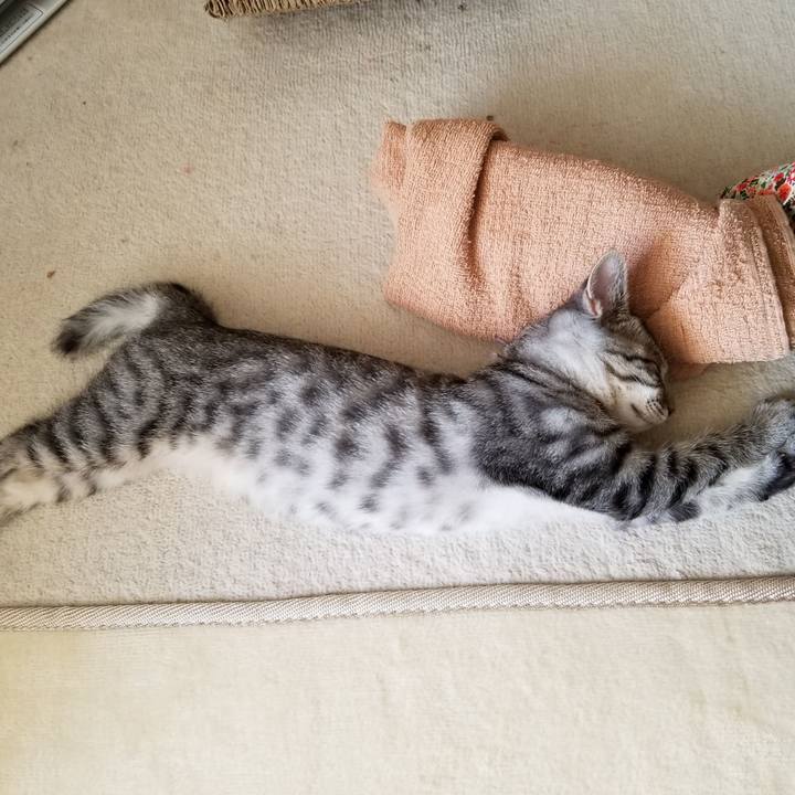 Fc171ac8 354f 42f4 8293 452116a28afe 1666379039636