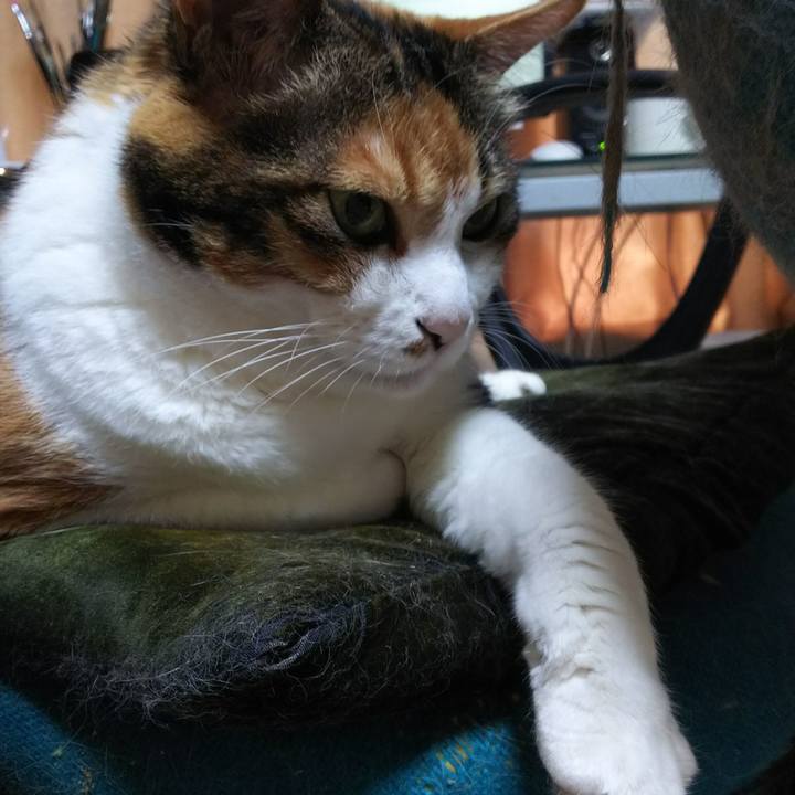 Fc172461 cd3b 487e 9072 1f9d41af2ded 1526693448028