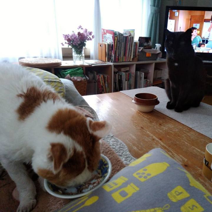 Fc175401 5bdc 4a9d 9854 133fa8f6b85d 1605755044624