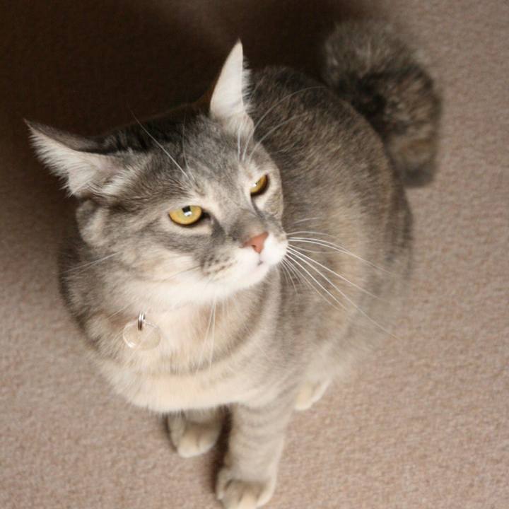 Fc17685f 5d8f 4fc4 9efd f64c77c7163b 1511396414244