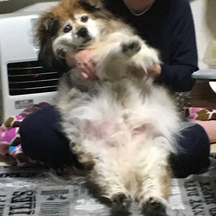 Fc17b9a1 b0a4 4ec0 a0a5 660c246c2a62 1583623634399