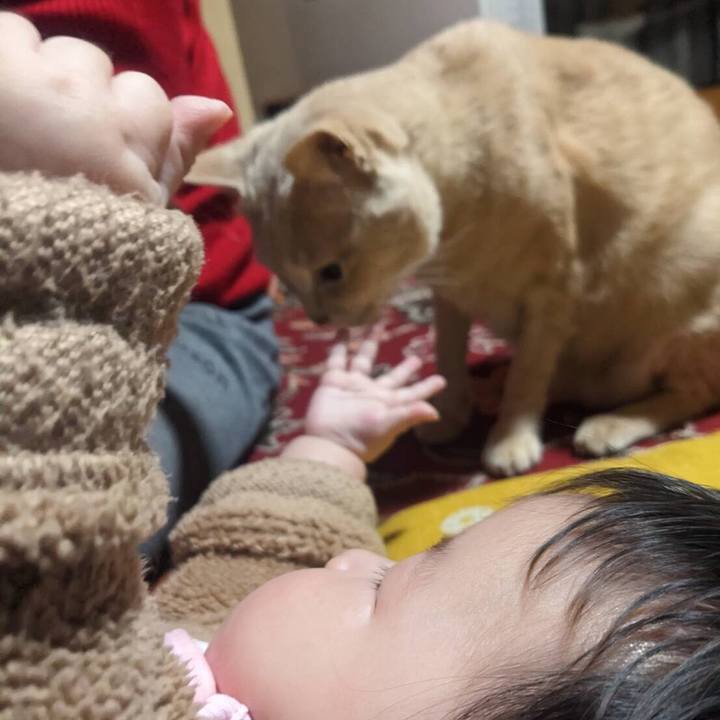 Fc17bc2c c94f 4645 b7b8 572323f61f7c 1672129868928