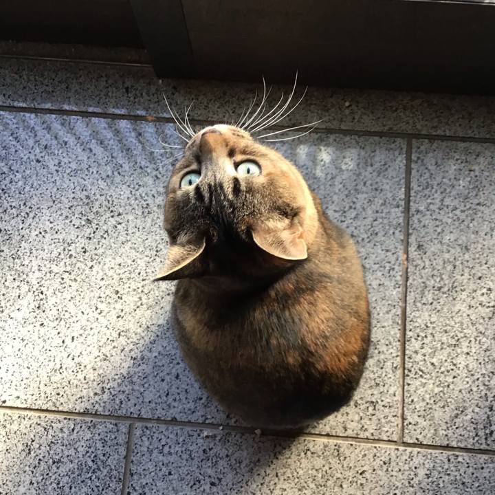 Fc17f872 a093 4dbd b6cf 33591c5438a4 1706346009876