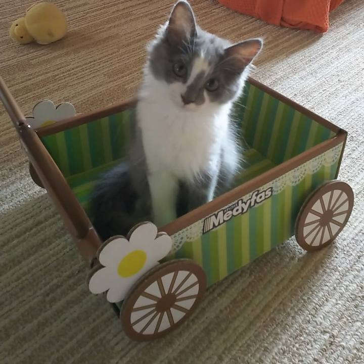 Fc182fcc e168 4efd b99f c530020227fc 1564285340095