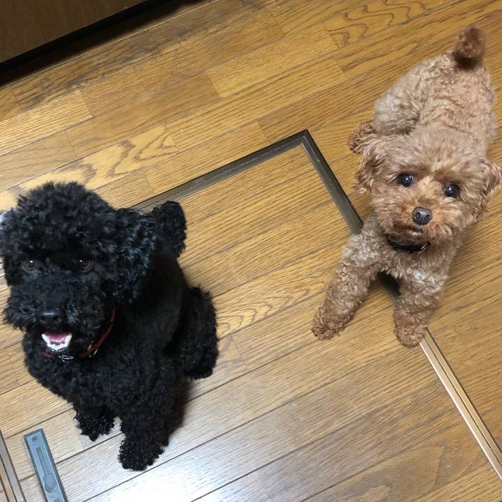 Fc184341 3664 421f 8973 869de30a775b 1561026569927