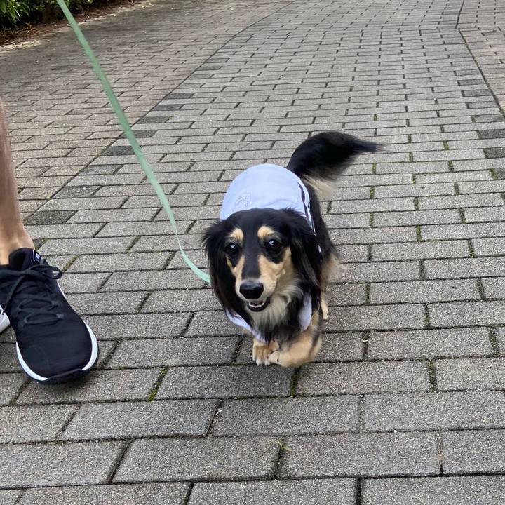 Fc184a60 d4b3 4977 a60e e94ccd14c873 1720397677454