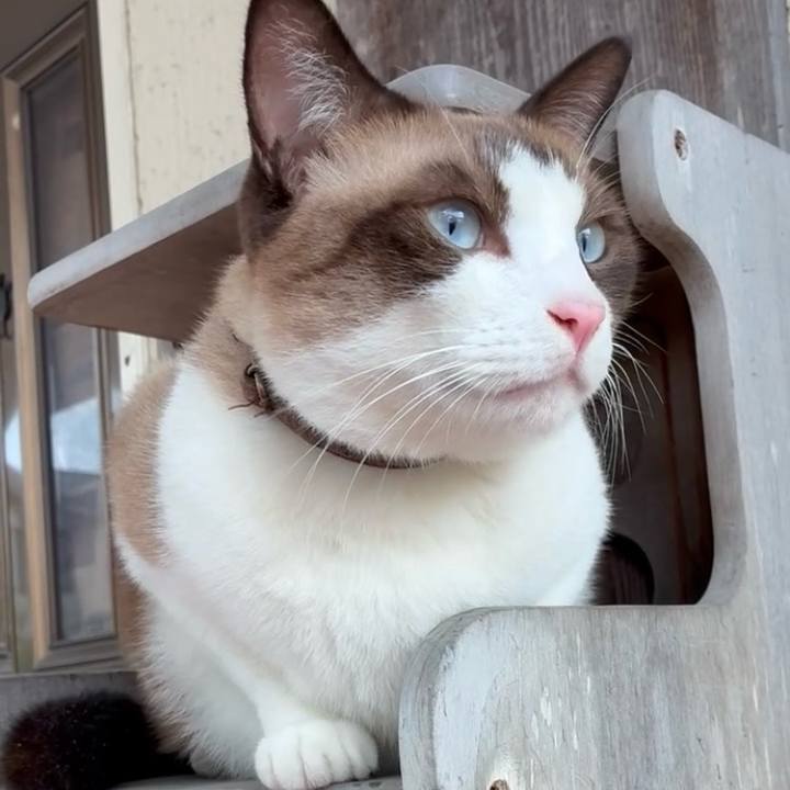 Fc18abb2 c5d5 455f ab19 58809647bec9 1758197241785