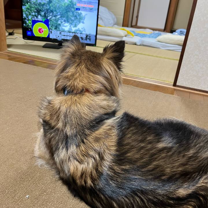 Fc18aca6 69a1 40bd 9c7d bf9d40d01145 1690853260817