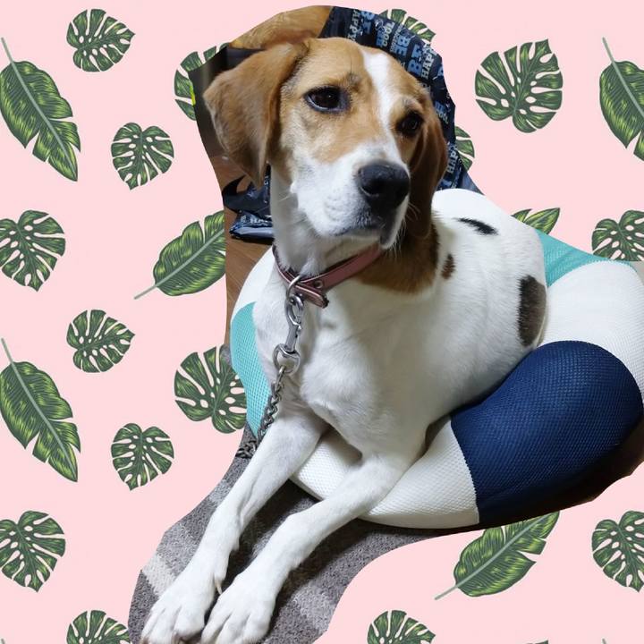 Fc18f9cd b645 4e8e a1c2 e57401611ddf 1599374306303