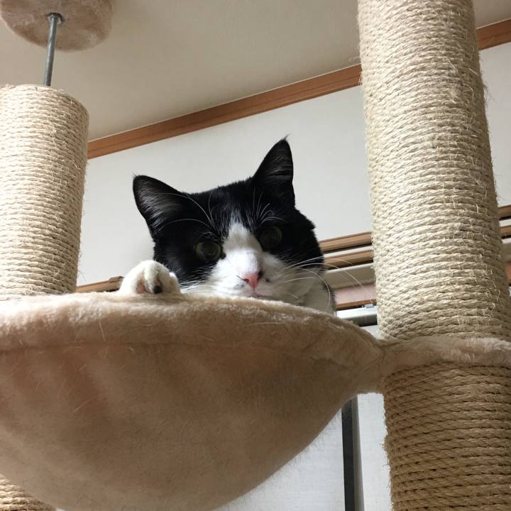 Fc194f90 0102 4e09 880f 4a3df4a462e5 1521635168839