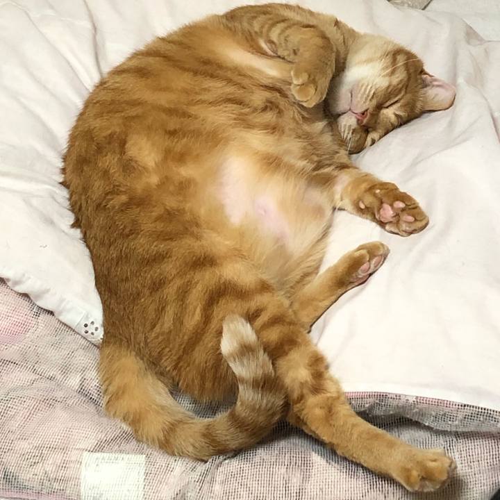 Fc195446 5ee3 49d8 8cf0 baf1d94a3ec1 1611486157313