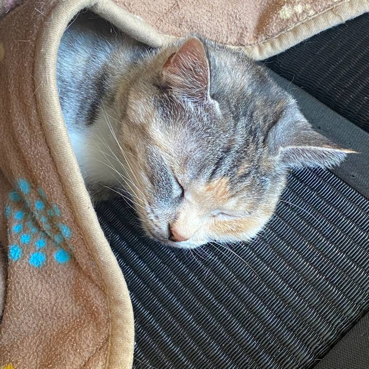 Fc1955c7 ec26 438c b7c7 48ad69ed5e58 1580621581520