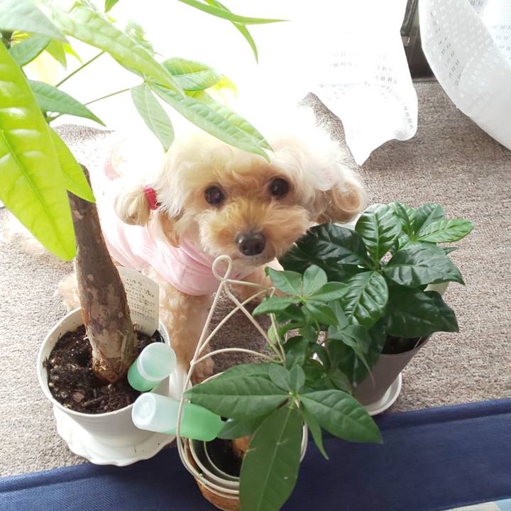 Fc19654d 19e8 4f50 961e be4815fa4330 1635595136001