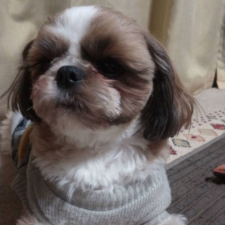 Fc196686 687f 4432 ad1d d08d8276a19b 1643289859907