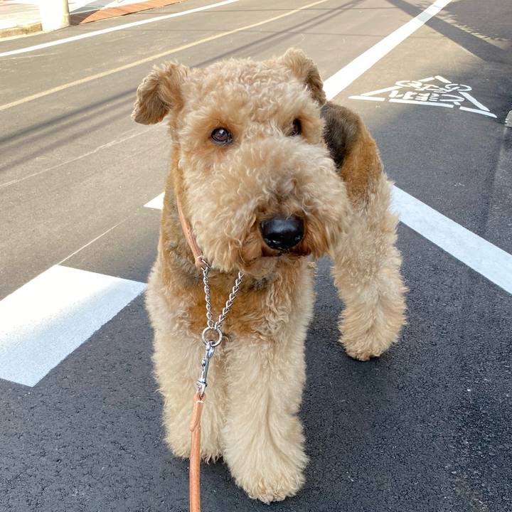 Fc196d0c f09f 47a5 98f3 30e6da01a212 1612668407786