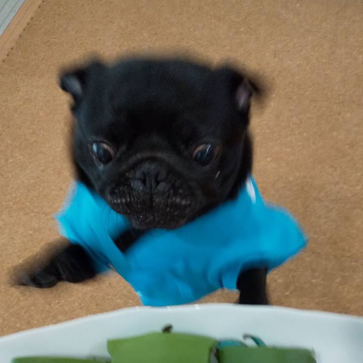 Fc197d12 c487 4025 8bc0 2011d716fbeb 1568647392804