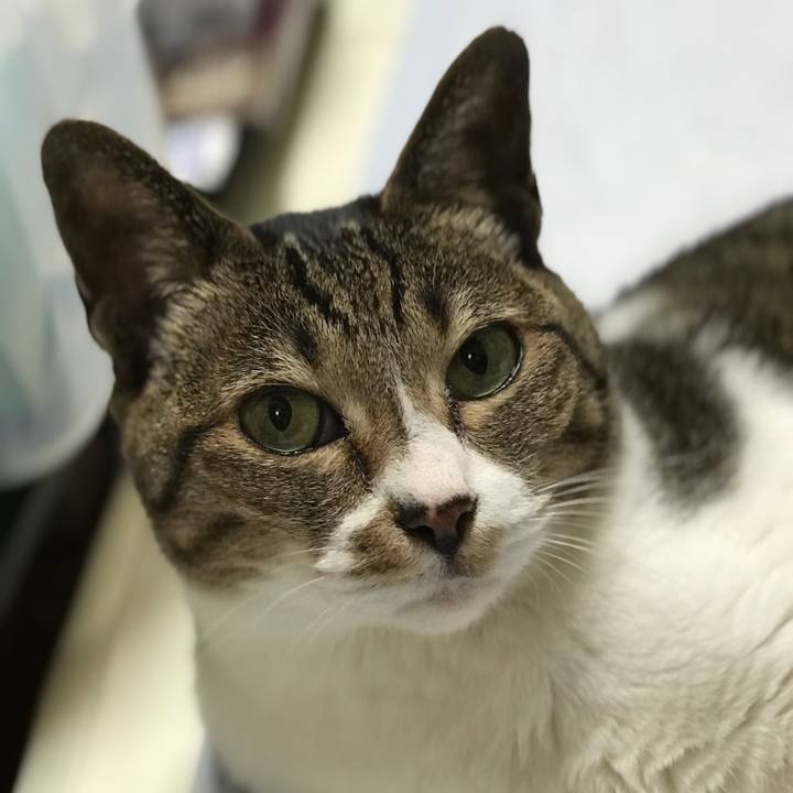 Fc19da28 3eb0 402c 98dd 0b2d639e6806 1527383939537