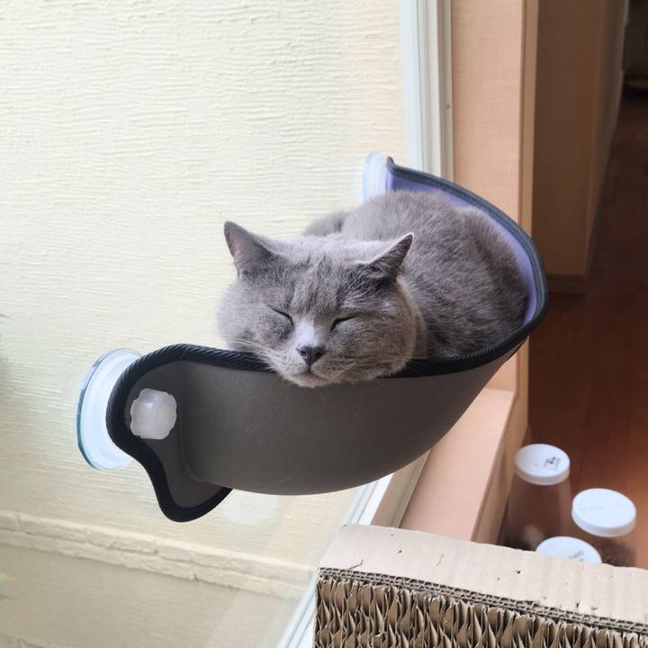 Fc1a1a6b 5b65 4450 9f51 b20b930f4f38 1666667719909