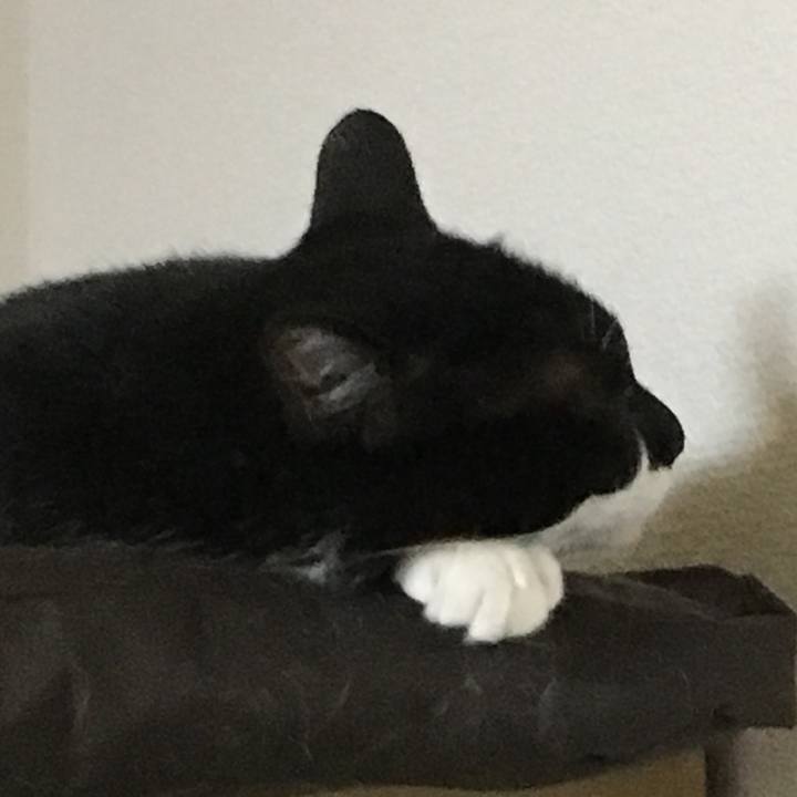 Fc1a5c18 e43f 4035 8d1d 817c3517e142 1534416911308