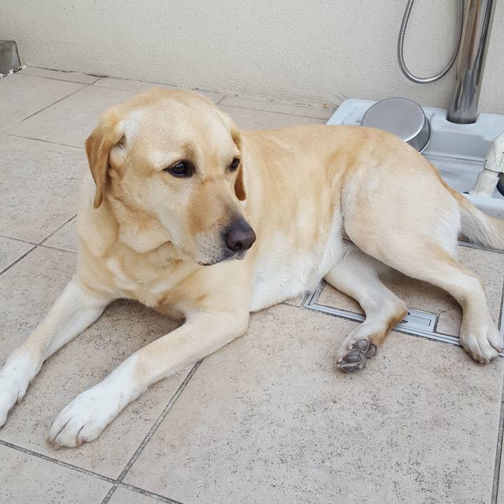 Fc1a9abd ca72 4e15 a5da 0d81e56de53e 1523869158861