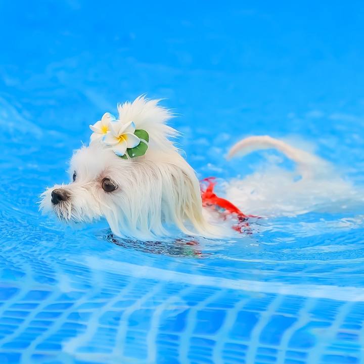 Fc1aa87b 2661 44a4 8980 b983c0b6c58e 1725919366210