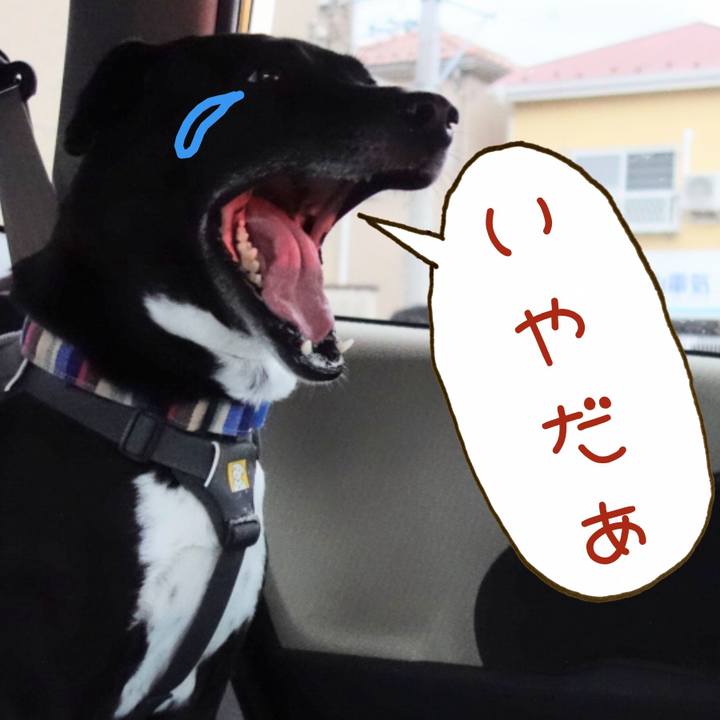 Fc1b02f3 8c70 4dd7 8bab 3291ea75074f 1655117655392