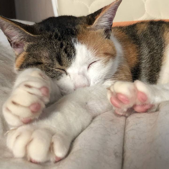 Fc1b1f43 ea72 4c04 b72e db797a090b9a 1591761377542