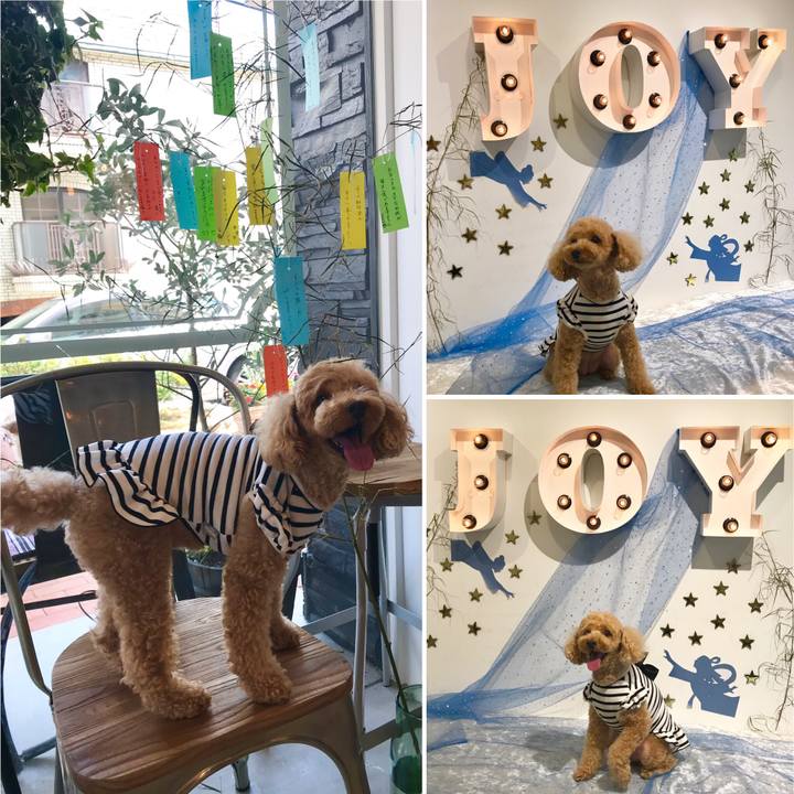 Fc1b2638 3b63 411c a122 e65d1c119b3a 1562506204222