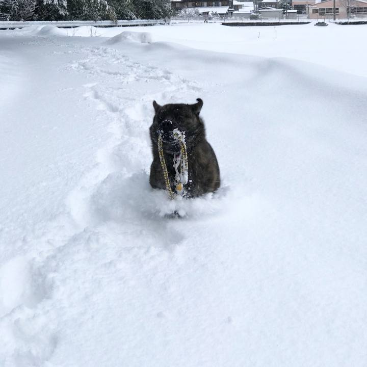 Fc1b34ed 90e2 465a 9192 1c717cbdeace 1518492195138