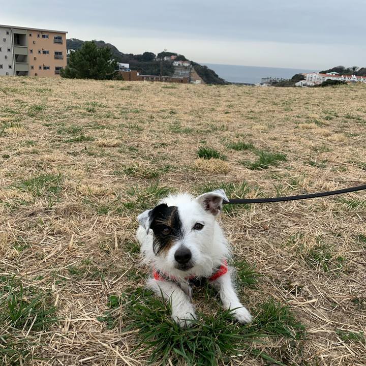 Fc1b4332 0d81 4549 89ba 79685d289752 1678583244268