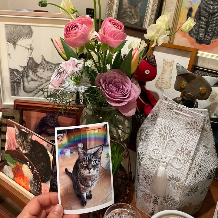 Fc1b5a15 b801 4df4 94ec 113cd5b2f169 1767946728098