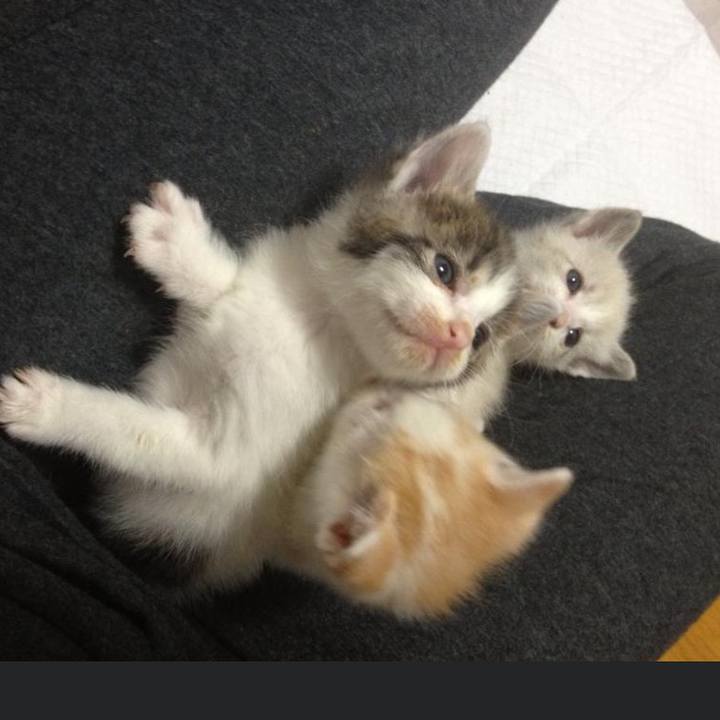 Fc1b60c4 af11 4b0c 836e 61cd5fddc10b 1643455561870