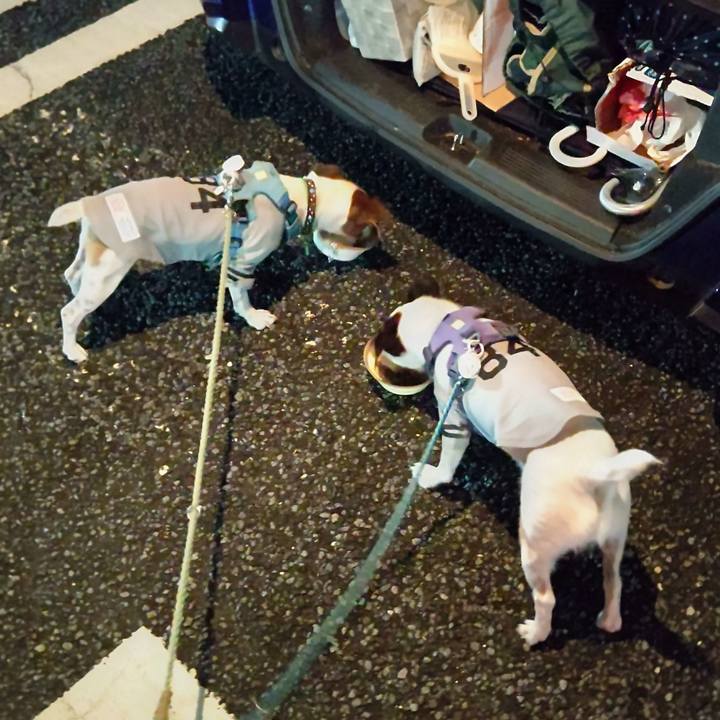 Fc1be0d3 30d3 4aee 89d4 4deb89075c4f 1661604523866