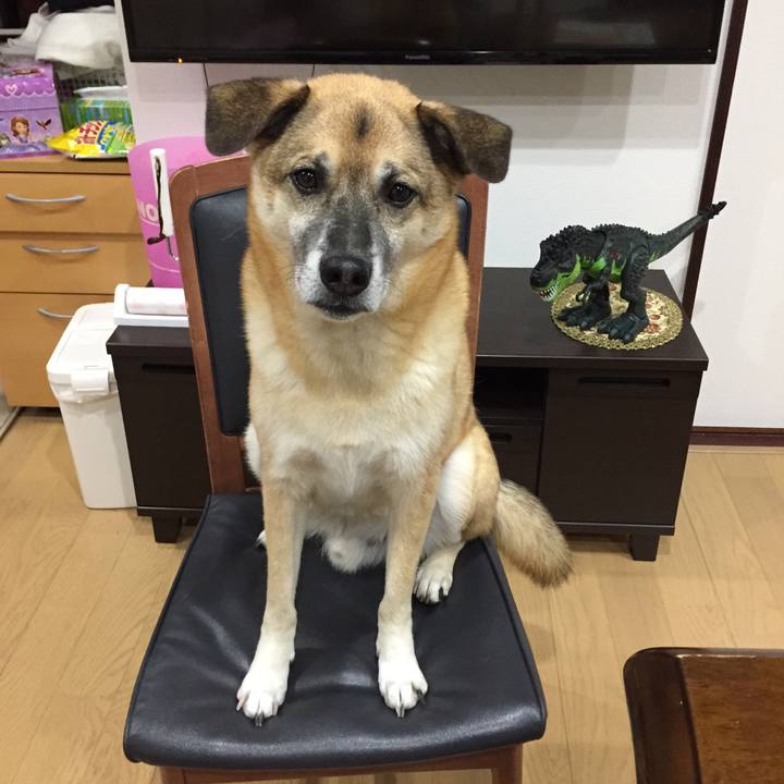 Fc1c0b81 193b 4c94 84c7 4520604de873 1514720813183