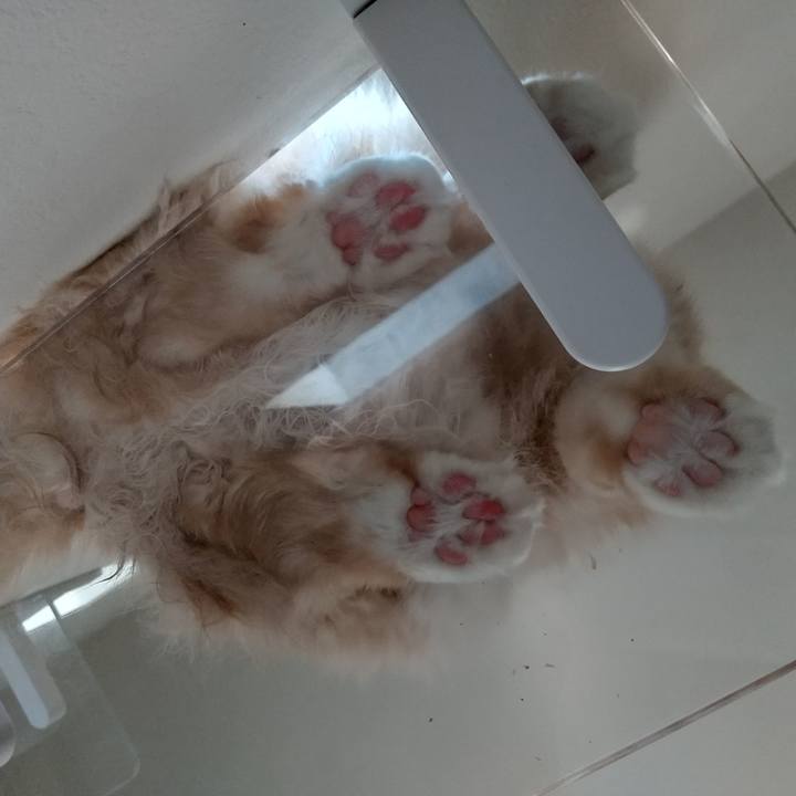 Fc1c1047 2a6f 4ca6 a2bc 17a635732a38 1649573698479