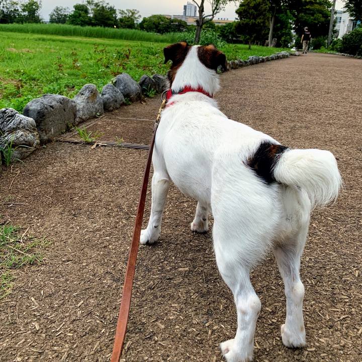 Fc1c4da9 e6a2 4b3f ba39 f17006a02978 1564571229920