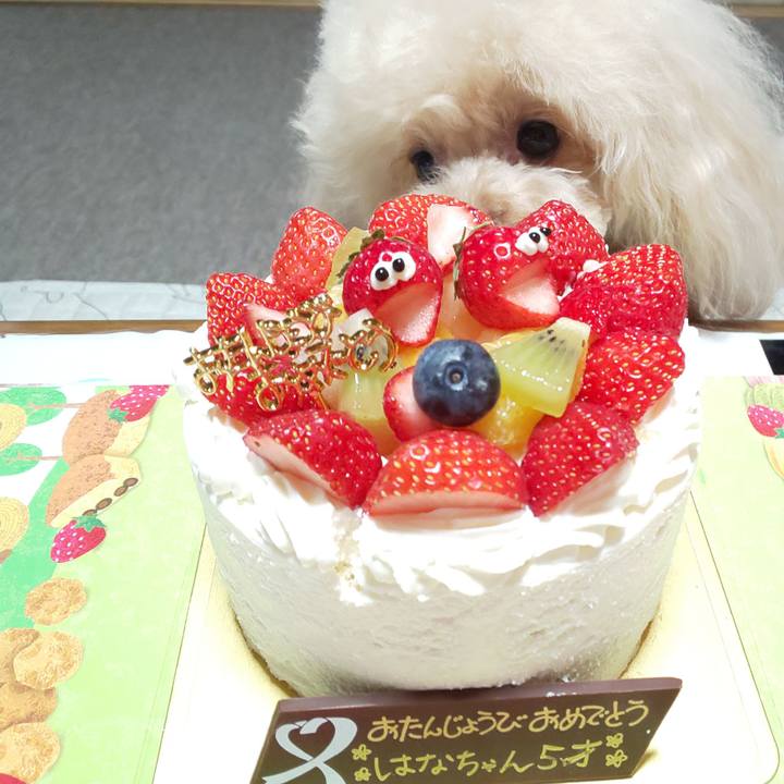 Fc1c5b13 e030 48ac a9e6 781482e734ef 1565536258315