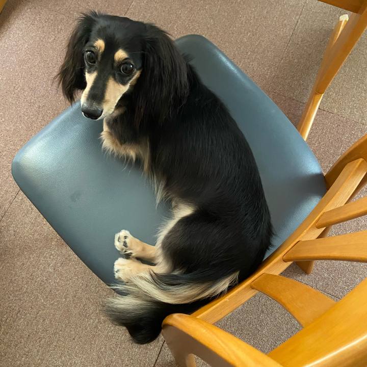 Fc1c6d9c 0f13 4183 8cee 23880f4adb6d 1724373230013